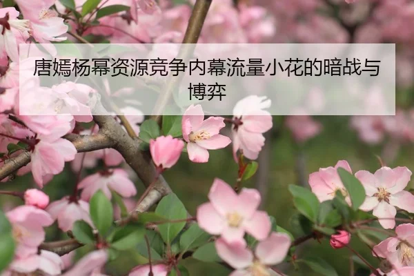 tang-yan-yang-mi-zi-yuan-jing-zheng-nei-mu-liu-liang-xiao-hua-de-an-zhan-yu-bo-yi-1-871.jpg